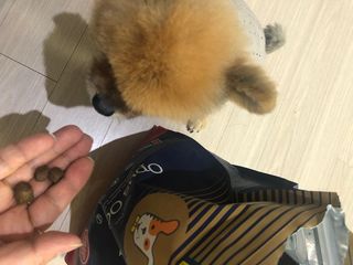 쭈야님이 올린 리뷰 사진 2