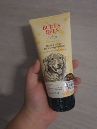 얌얌이님이 올린 리뷰 사진 2