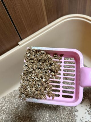 김윤주님이 올린 리뷰 사진 3
