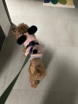 harumom님이 올린 리뷰 사진 3