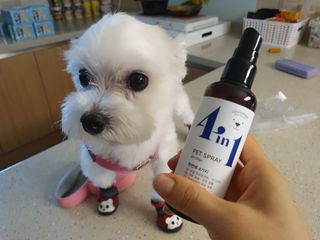 미민님이 올린 리뷰 사진 2