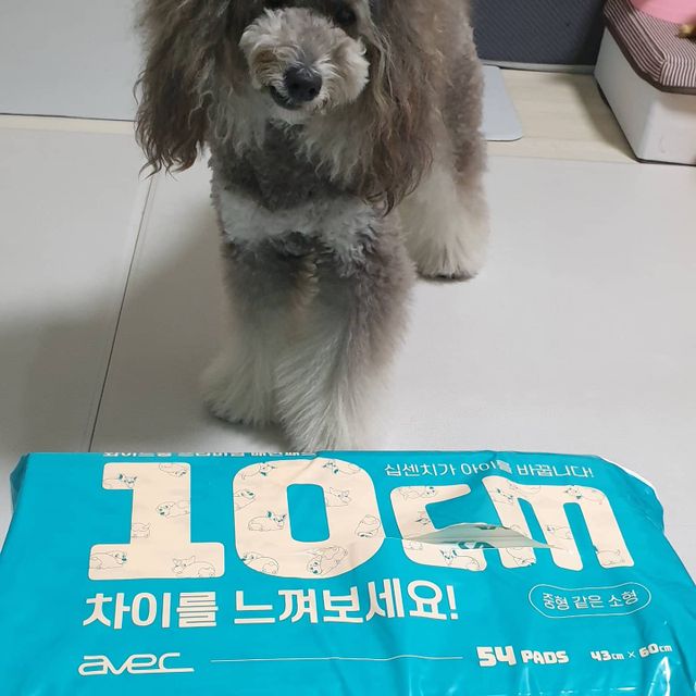 아베크 펫 와이드 프리미엄 중형 애견 강아지 배변 패드 54매 1팩 45g 리뷰 사진