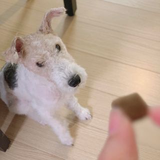 솜솜이2님이 올린 리뷰 사진 3
