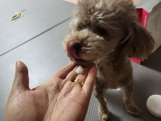 코콩님이 올린 리뷰 사진 3