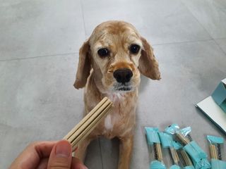 찬이애비님이 올린 리뷰 사진 3