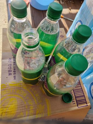 몽베스트 Montbest with Sparkling water Lemon OR Lime 20병(랜덤) — 5점을 준 리뷰어가 2021년 10월 올린 사용 사진
