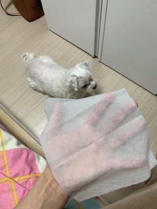 으니부기님이 올린 리뷰 사진 3