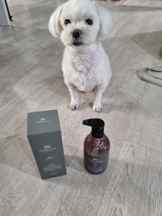 마리앤루이펫샴푸 [mari and louie pet shampoo] — 4점을 준 리뷰어가 2021년 5월 올린 사용 사진