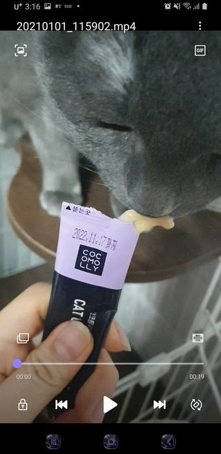 코코몰리 고양이 구강• 헤어볼 데일리 /신장• 요로 데일리 — 5점을 준 리뷰어가 2021년 1월 올린 사용 사진