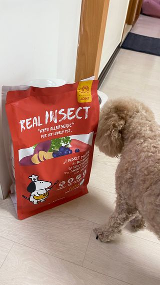 [푸디웜] 라포그  리얼인섹트 관절 저알러지 강아지 사료  1.2KG — 5점을 준 리뷰어가 2022년 8월 올린 사용 사진