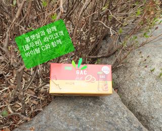[풀무원] 라이코객 바이탈C 1세트-10개입 — 5점을 준 리뷰어가 2021년 3월 올린 사용 사진