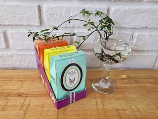 [몽베스트] 위드 더 블랜딩 하우스 _ 버라이어티팩 — 5점을 준 리뷰어가 2023년 8월 올린 사용 사진