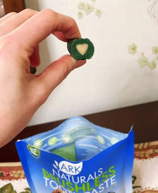 진짜 양치되는 강아지덴탈츄 아크내추럴스 브러시리스 — 4.5점을 준 리뷰어가 2021년 3월 올린 사용 사진