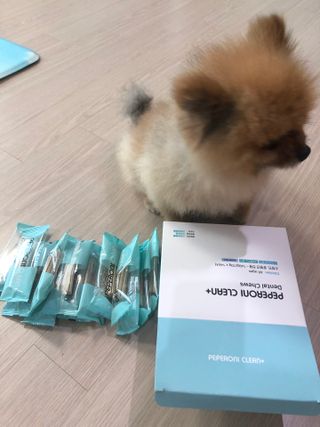 페페로니 클린플러스 덴탈치킨껌 10g x 14p — 4점을 준 리뷰어가 2021년 7월 올린 사용 사진