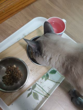 만만이집사님이 올린 리뷰 사진 2