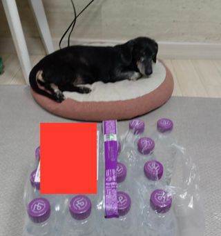 몽베스트 [MONTBEST]위드어스 500mL 20병 — 5점을 준 리뷰어가 2022년 8월 올린 사용 사진