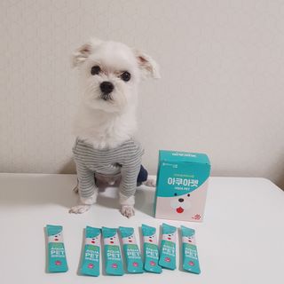 펫시랩 반려견용 액상 프리바이오틱스 아쿠아펫 — 5점을 준 리뷰어가 2021년 1월 올린 사용 사진