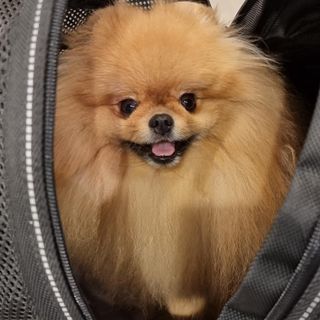 아롱이님이 올린 리뷰 사진 3