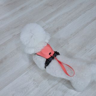 우주님이 올린 리뷰 사진 4