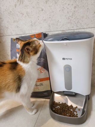 롬롬님이 올린 리뷰 사진 1