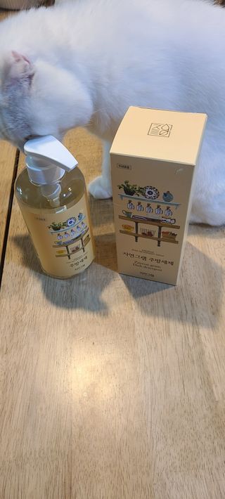논지님이 올린 리뷰 사진 1