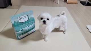 캐닌캐비어 알카라인 홀리스틱 그레이프리 앙뜨레 ALS_4종 오픈스카이, 와일드오션, 프리스피릿, 스페셜니즈 — 5점을 준 리뷰어가 2023년 2월 올린 사용 사진