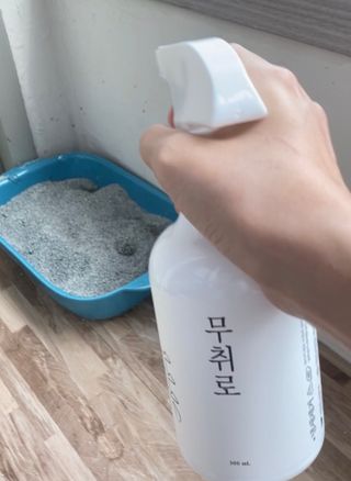 크리미님이 올린 리뷰 사진 3