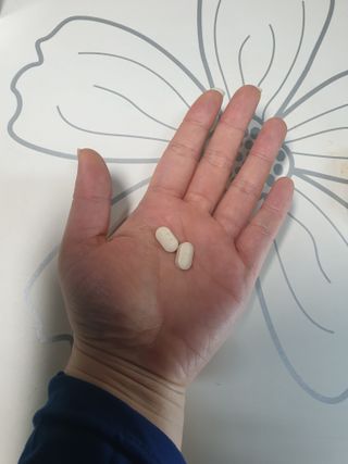 프리마인 평생 써야하는 관절의 건강을 위한 완벽설계 솔루션 관절n마디케어 플러스 120정 — 5점을 준 리뷰어가 2021년 11월 올린 사용 사진