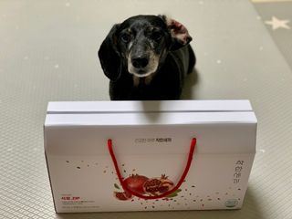 콩이누나님이 올린 리뷰 사진 1