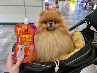 아롱이님이 올린 리뷰 사진 2