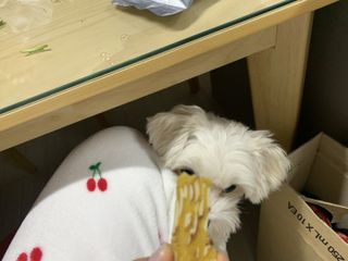 수성님이 올린 리뷰 사진 3