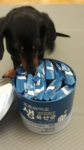 서울약사신협_프로바이오생유산균_2.5G x 100포 — 4점을 준 리뷰어가 2021년 6월 올린 사용 사진