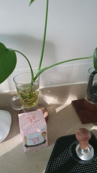 데이지맘님이 올린 리뷰 사진 1