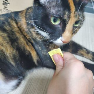 당고경단님이 올린 리뷰 사진 1