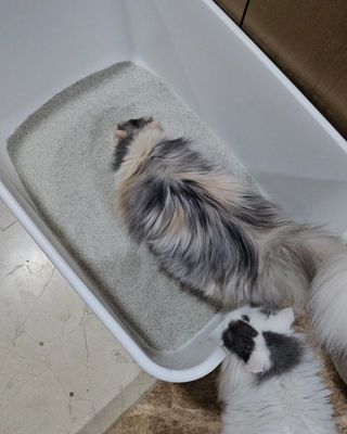 으하하하하님이 올린 리뷰 사진 3