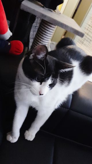 퓨리아님이 올린 리뷰 사진 2