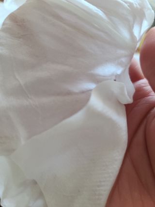 다솜이마마님이 올린 리뷰 사진 3
