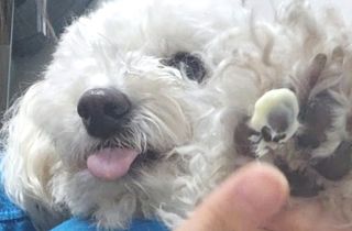 캐스퍼님이 올린 리뷰 사진 1