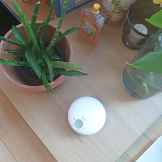 바이올라님이 올린 리뷰 사진 1