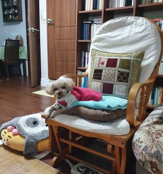 위니님이 올린 리뷰 사진 1