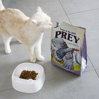 레몬걸님이 올린 리뷰 사진 2
