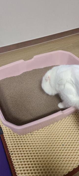 논지님이 올린 리뷰 사진 3