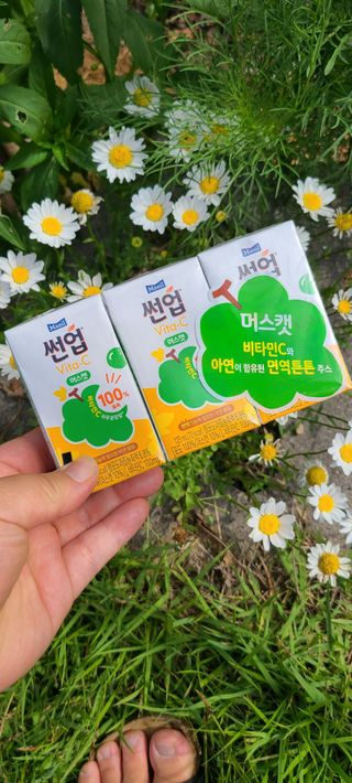 써니35님이 올린 리뷰 사진 2