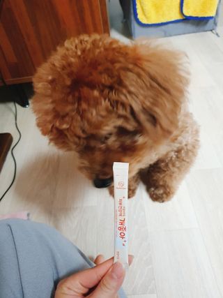 My Pet Care 모발과 모질 피부건강에 개좋아 — 5점을 준 리뷰어가 2021년 4월 올린 사용 사진