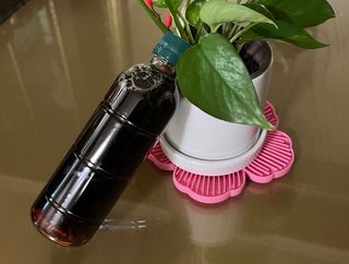 무라벨 바리스타룰스 디카페인 아메리카노 — 5점을 준 리뷰어가 2024년 4월 올린 사용 사진