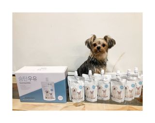 꿀님이 올린 리뷰 사진 3