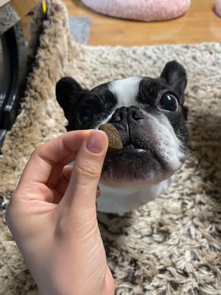 GraceCho님이 올린 리뷰 사진 2