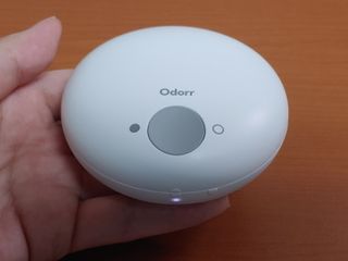 푸르댕댕님이 올린 리뷰 사진 3