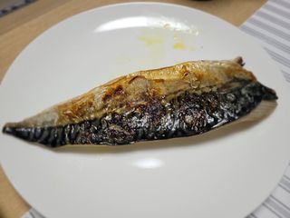㈜금호통상 노르웨이 고등어 900g (6~10편) — 5점을 준 리뷰어가 2022년 11월 올린 사용 사진