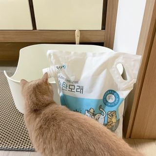 루하님이 올린 리뷰 사진 2